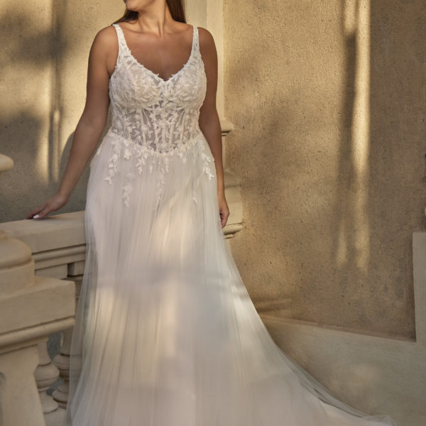 Donia (36007)